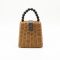Women's Mini Woven Handbags with Shoulder Strap