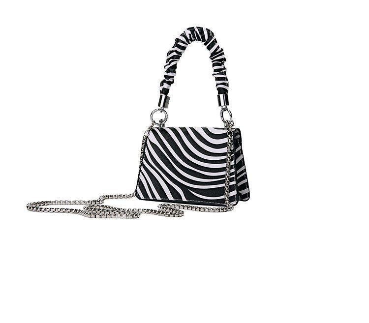 Women's Animal Print Mini Handbags with Crossbody Chains
