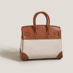 Women's Brown And White Leather Canvas Top Handle Bag
