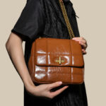 Women's Genuine Leather Button Lock Crossbody Shoulder Chain Bag In Minimalist