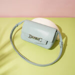Minimalistische Eidechsenmuster Crossbody Umhängetasche aus echtem Leder für Frauen