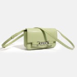 Minimalistische Eidechsenmuster Crossbody Umhängetasche aus echtem Leder für Frauen