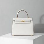 Women's Epsom Leather Top Handle Bag in Gold Hardware