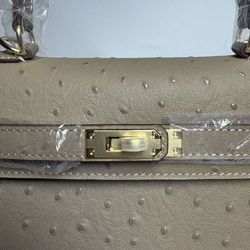 Women's Vintage Ostrich Embossed Full-Grain Leather Handbag In Gold Hardware