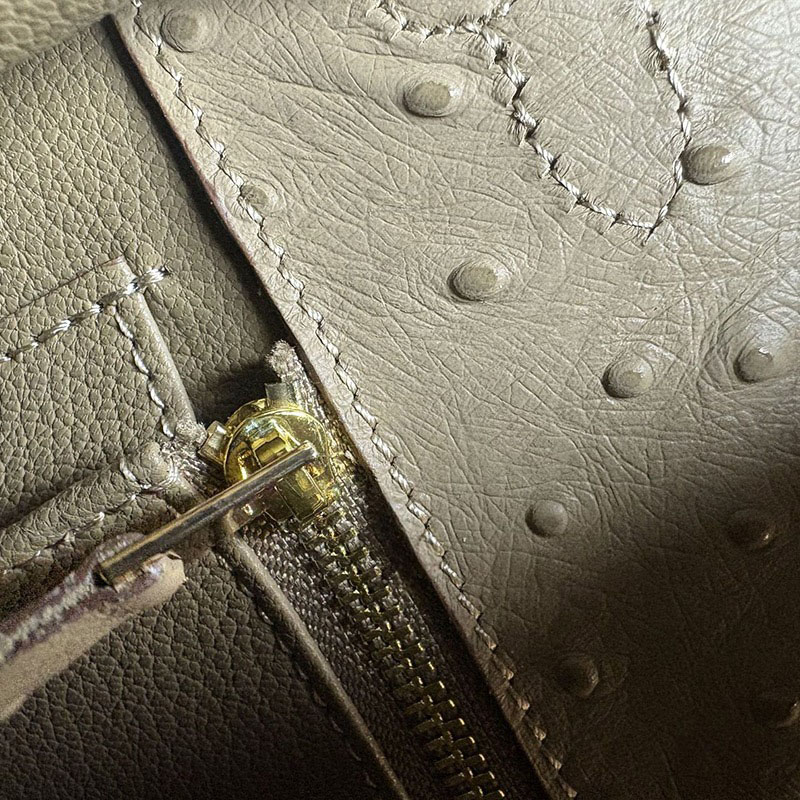 Women's Vintage Ostrich Embossed Full-Grain Leather Handbag In Gold Hardware