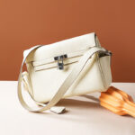 Women's Minimalist Full-Grain Leather Lock Close Crossbody Bag In Silver Hardware