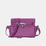 Women's Minimalist Full-Grain Leather Lock Close Crossbody Bag In Silver Hardware