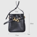 Women's Small Vintage Top-Grain Leather Buckle Crossbody  Shoulder Bag In Gold Hardware
