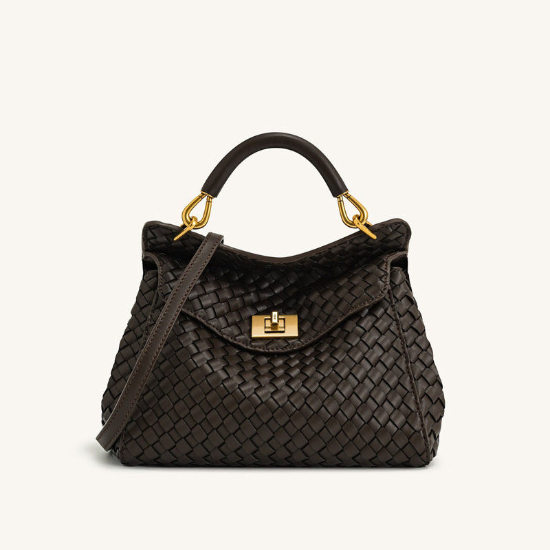 Petit sac en cuir Vegan Twist Lock Top Handle Crossbody Satchel Bag