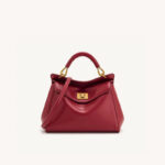 Petit sac en cuir Vegan Twist Lock Top Handle Crossbody Satchel Bag