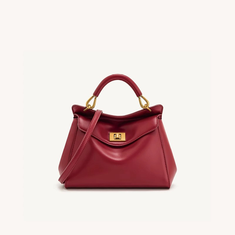 Petit sac en cuir Vegan Twist Lock Top Handle Crossbody Satchel Bag