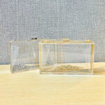 Women's Acrylic Clear Box Chain Clutch Bag Stadium Approved