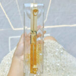 Women's Acrylic Clear Box Chain Clutch Bag Stadium Approved