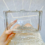 Women's Acrylic Clear Box Chain Clutch Bag Stadium Approved