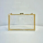 Women's Acrylic Clear Box Chain Clutch Bag Stadium Approved