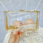Women's Acrylic Clear Box Chain Clutch Bag Stadium Approved
