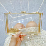 Women's Acrylic Clear Box Chain Clutch Bag Stadium Approved