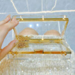 Women's Acrylic Clear Box Chain Clutch Bag Stadium Approved