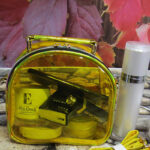 Women's Clear Stadium Approved Mini Crossbody Bags