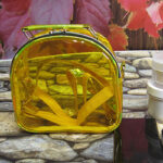 Women's Clear Stadium Approved Mini Crossbody Bags