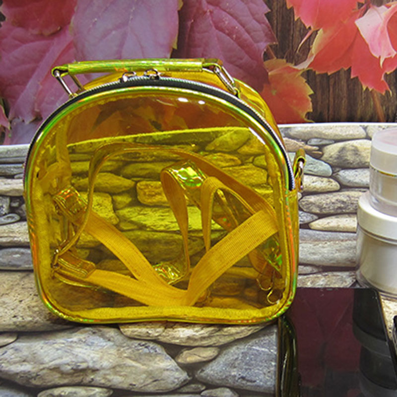 Women's Clear Stadium Approved Mini Crossbody Bags