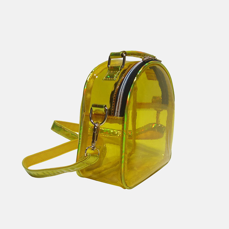 Women's Clear Stadium Approved Mini Crossbody Bags