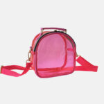 Women's Clear Stadium Approved Mini Crossbody Bags