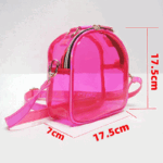 Women's Clear Stadium Approved Mini Crossbody Bags