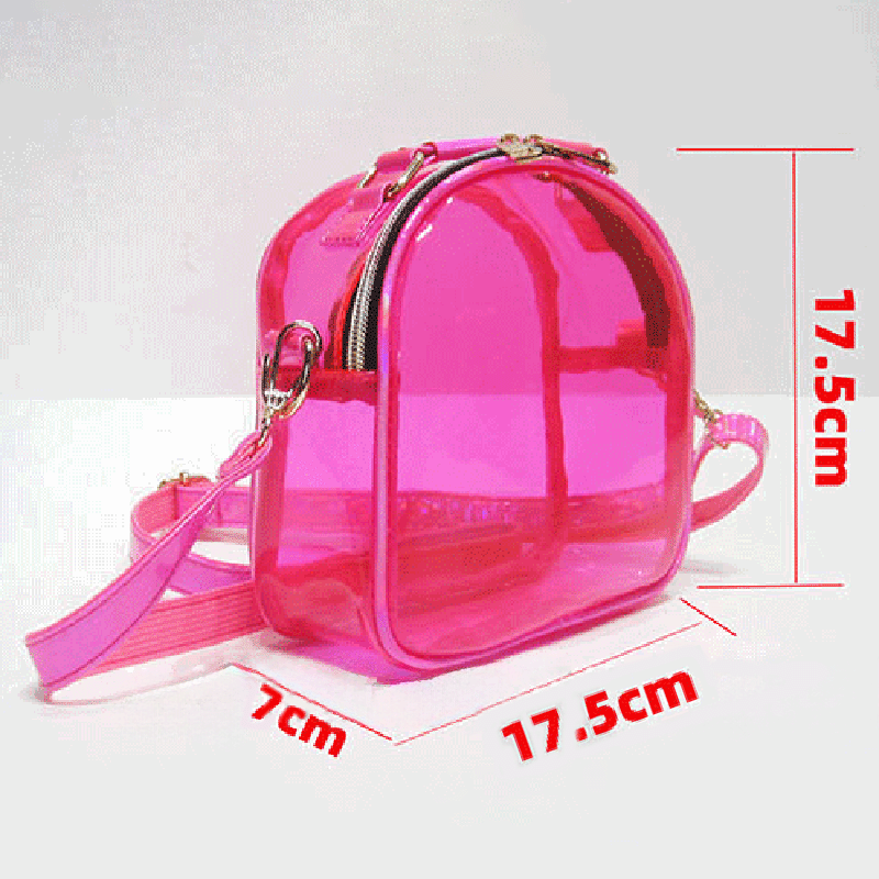 Women's Clear Stadium Approved Mini Crossbody Bags