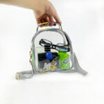 Women's Clear Stadium Approved Mini Crossbody Bags
