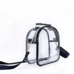 Women's Clear Stadium Approved Mini Crossbody Bags