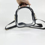 Women's Clear Stadium Approved Mini Crossbody Bags