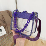 Women's Rhinestone Stadium Approved Clear Chain Crossbody Bag
