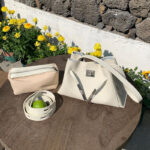 Women's Full-Grain Leather Structured Lock Crossbody Shoulder Hobo Bag
