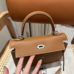 Women's Brown Epsom Leather Silver Hardware Handbag 25